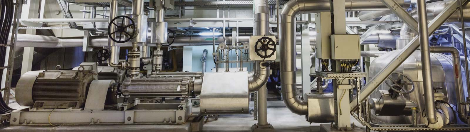 Steam Safety Relief Valves